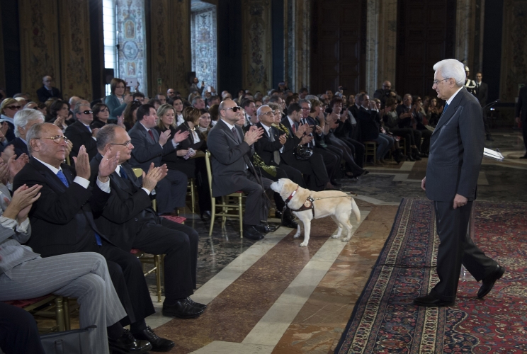 immagine descritta in didascalia