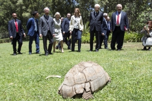 Immagine descritta in didascalia