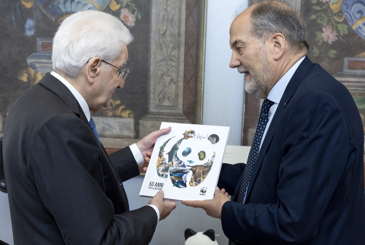 Il Presidente Sergio Mattarella con Luciano Di Tizio, Presidente del WWF Italia, in occasione dell'incontro con una delegazione del WWF