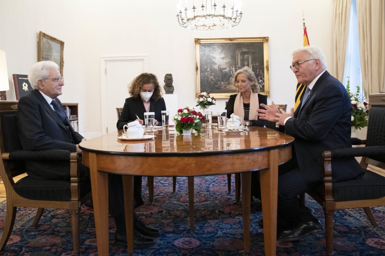 Il Presidente Sergio Mattarella con il Presidente della Repubblica Federale di Germania Frank-Walter Steinmeier, durante i colloqui  

