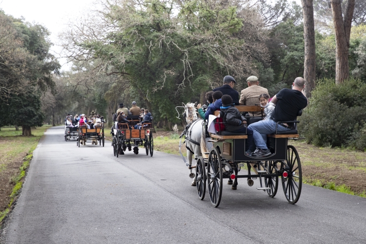 Giornata evento a Castelporziano "Tutti in Carrozza"   
