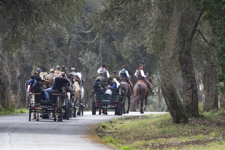 Giornata evento a Castelporziano "Tutti in Carrozza"   
