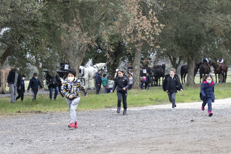 Giornata evento a Castelporziano "Tutti in Carrozza"   
