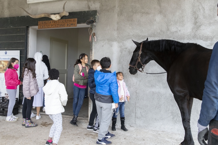 Giornata evento a Castelporziano "Tutti in Carrozza"   
