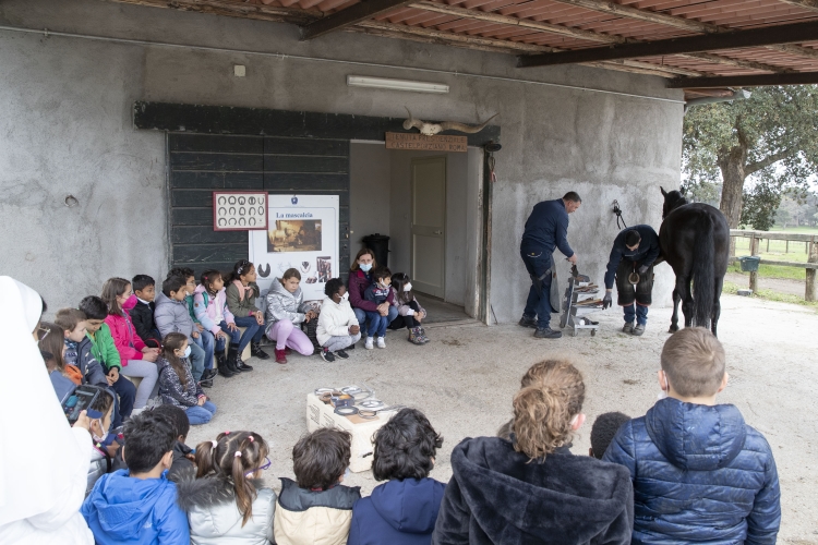 Giornata evento a Castelporziano "Tutti in Carrozza"   
