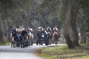 Giornata evento a Castelporziano "Tutti in Carrozza"   
