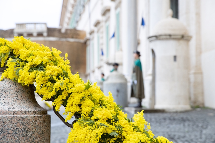 Il Palazzo del Quirinale in occasione della Giornata internazionale della Donna