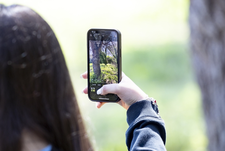 Alcuni momenti della City Nature Challenge
