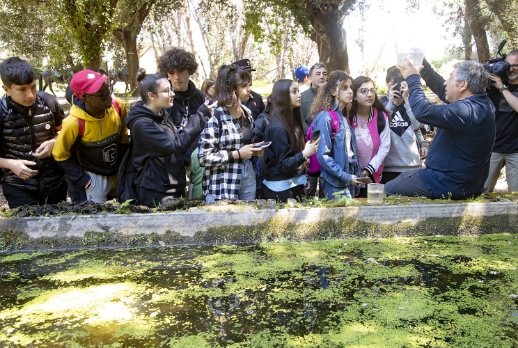 Alcuni momenti della City Nature Challenge