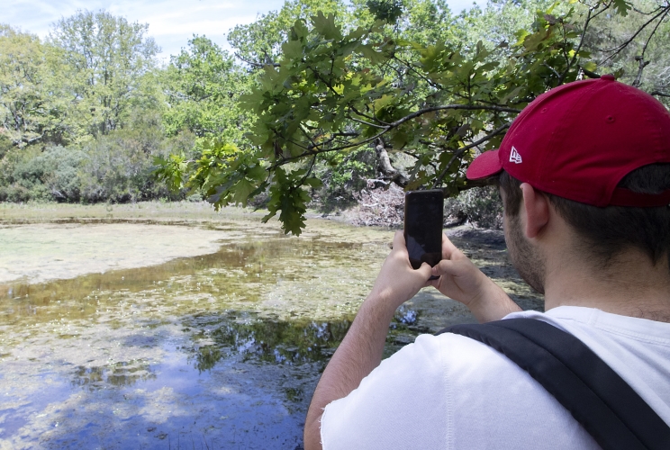 Alcuni momenti della City Nature Challenge