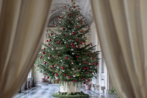 L'Albero di Natale al Palazzo del Quirinale: 