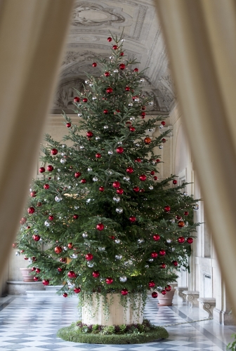 L'Albero di Natale al Palazzo del Quirinale: 