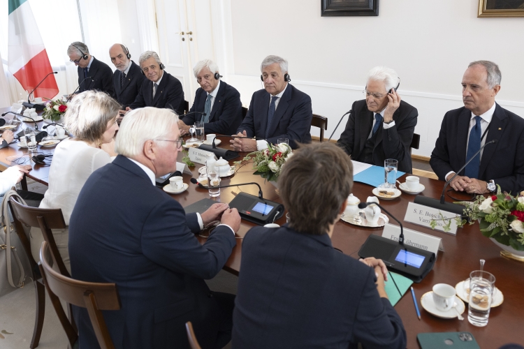 Il Presidente, Sergio Mattarella, con Frank-Walter Steinmeier, Presidente della Repubblica Federale di Germania, durante i colloqui.