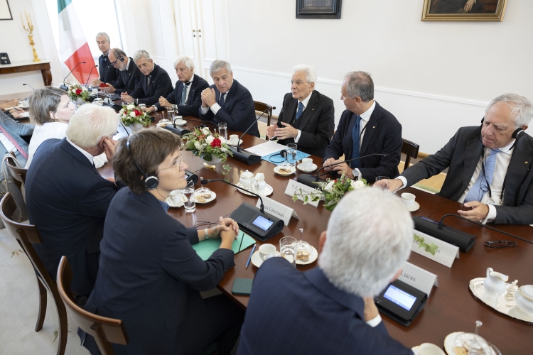 Il Presidente, Sergio Mattarella, con Frank-Walter Steinmeier, Presidente della Repubblica Federale di Germania, durante i colloqui.