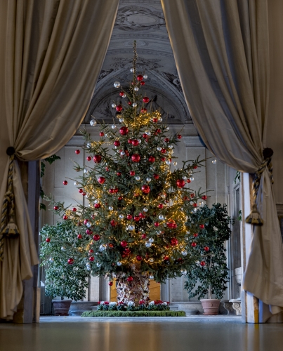 Albero di Natale