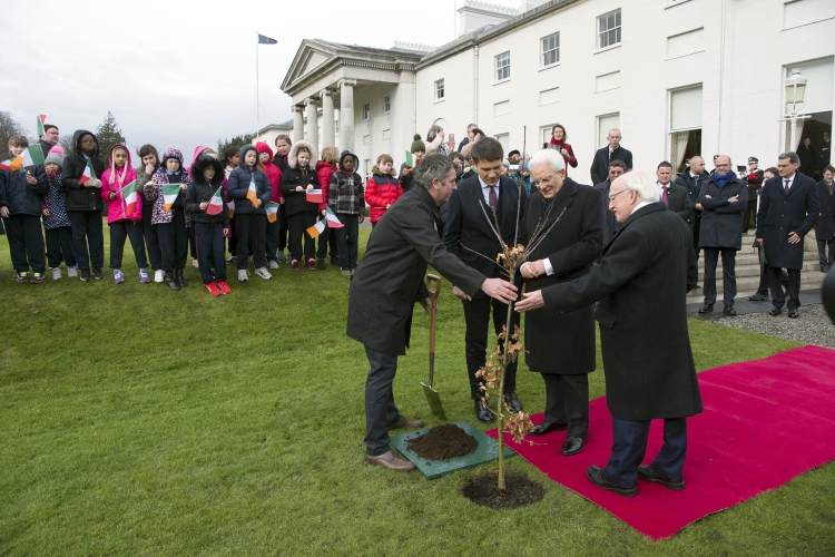 Il Presidente Sergio Mattarella e il Presidente d'Irlanda Michael D. Higgins 