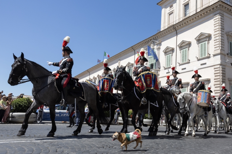 Il Cambio solenne della Guardia d'Onore da parte del Reggimento Corazzieri a cavallo con la Fanfara del IV Reggimento Carabinieri a cavallo, in occasione della Festa della Repubblica
